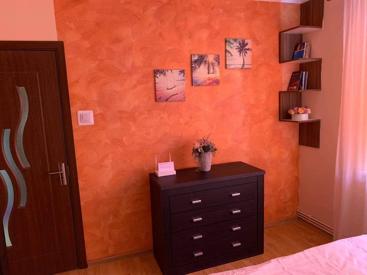 Vlad'S Apartment Targu-Mures Bagian luar foto